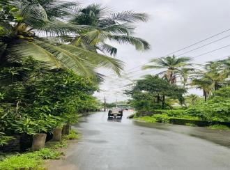 Residential Land for Sale in Palakkad, Pattambi, Nedumbrakkadu