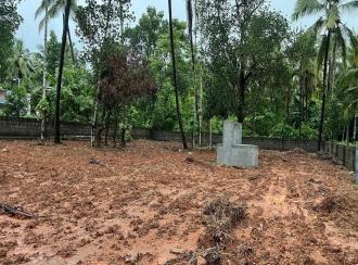 Residential Land for Sale in Palakkad, Pattambi, Nedumbrakkadu
