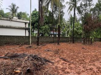 Residential Land for Sale in Palakkad, Pattambi, Nedumbrakkadu
