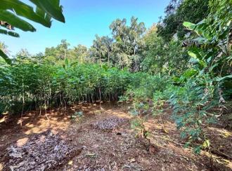 Residential Land for Sale in Pathanamthitta, Kozhencherry, Kozhencherry