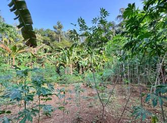 Residential Land for Sale in Pathanamthitta, Kozhencherry, Kozhencherry