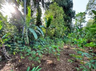 Residential Land for Sale in Pathanamthitta, Kozhencherry, Kozhencherry