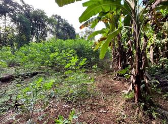 Residential Land for Sale in Pathanamthitta, Kozhencherry, Kozhencherry