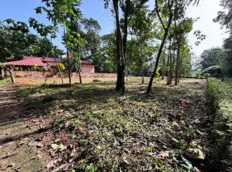 Residential Land for Sale in Pathanamthitta, Thiruvalla, Nellad, pulladipadi