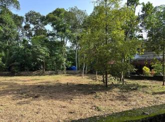 Residential Land for Sale in Pathanamthitta, Thiruvalla, Nellad, pulladipadi