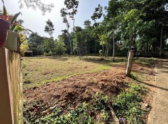 Residential Land for Sale in Pathanamthitta, Thiruvalla, Nellad, pulladipadi