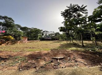Residential Land for Sale in Pathanamthitta, Thiruvalla, Nellad, pulladipadi