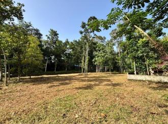 Residential Land for Sale in Pathanamthitta, Thiruvalla, Nellad, pulladipadi