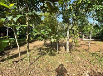 Residential Land for Sale in Pathanamthitta, Thiruvalla, Nellad, pulladipadi