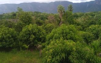 Residential Land for Sale in Palakkad, Kollengode, Thamarapadam