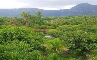 Residential Land for Sale in Palakkad, Kollengode, Thamarapadam