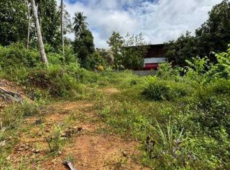 Residential Land for Sale in Pathanamthitta, Kozhencherry, Keezhukara, Keezhukara