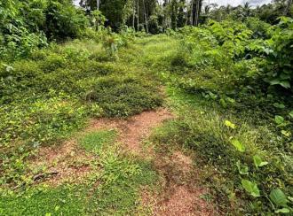 Residential Land for Sale in Pathanamthitta, Kozhencherry, Keezhukara, Keezhukara