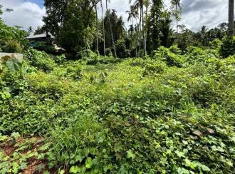 Residential Land for Sale in Pathanamthitta, Kozhencherry, Keezhukara, Keezhukara