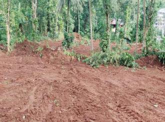 Residential Land for Sale in Pathanamthitta, Ranni, Ettiyappara