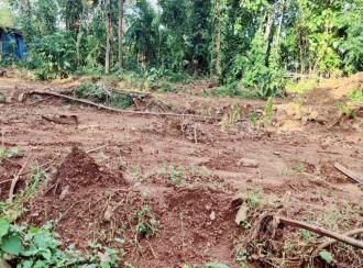 Residential Land for Sale in Pathanamthitta, Ranni, Ettiyappara