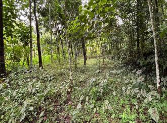 Residential Land for Sale in Pathanamthitta, Konni, Konni