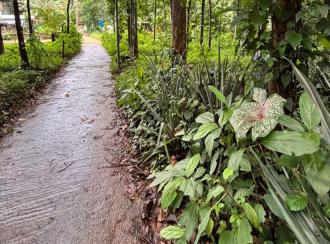 Residential Land for Sale in Pathanamthitta, Konni, Konni