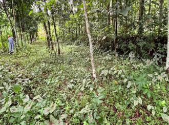 Residential Land for Sale in Pathanamthitta, Konni, Konni