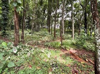 Residential Land for Sale in Pathanamthitta, Konni, Konni