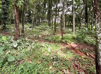 Residential Land for Sale in Pathanamthitta, Konni, Konni