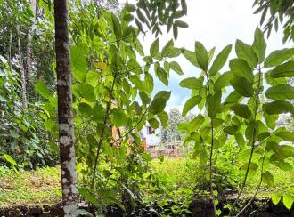 Residential Land for Sale in Pathanamthitta, Konni, Konni