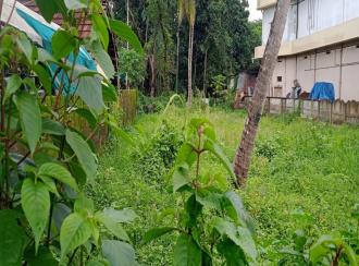 Commercial Land for Sale in Ernakulam, Aluva, Aluva, North Paravoor