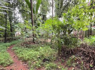 Residential Land for Sale in Thrissur, Thrissur, Kanimangalam