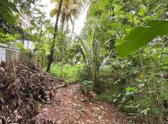 Residential Land for Sale in Thrissur, Thrissur, Kanimangalam