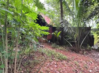 Residential Land for Sale in Thrissur, Thrissur, Kanimangalam