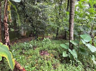 Residential Land for Sale in Thrissur, Thrissur, Kanimangalam
