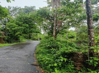 Residential Land for Sale in Kannur, Pazhayangadi, Pullanjida