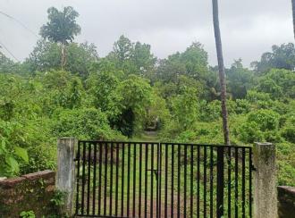 Residential Land for Sale in Kannur, Pazhayangadi, Pullanjida