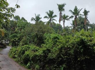 Residential Land for Sale in Kannur, Pazhayangadi, Pullanjida
