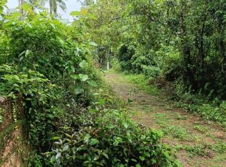 Residential Land for Sale in Kannur, Pazhayangadi, Pullanjida