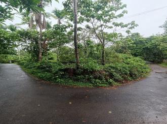 Residential Land for Sale in Kannur, Pazhayangadi, Pullanjida