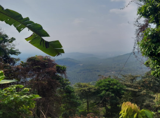 Agricultural Land for Sale in Kozhikode, Thamarassery, Nellipoyil