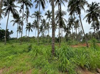 Residential Land for Sale in Palakkad, Cherpulassery, Karalmanna