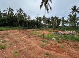 Residential Land for Sale in Palakkad, Cherpulassery, Karalmanna