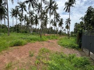 Residential Land for Sale in Palakkad, Cherpulassery, Karalmanna