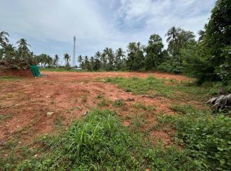 Residential Land for Sale in Palakkad, Cherpulassery, Karalmanna