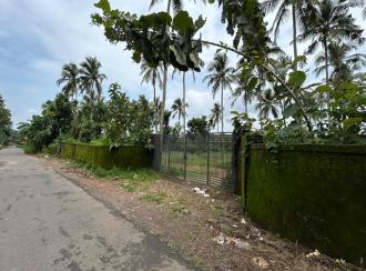 Residential Land for Sale in Palakkad, Cherpulassery, Karalmanna