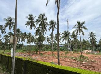 Residential Land for Sale in Palakkad, Cherpulassery, Karalmanna