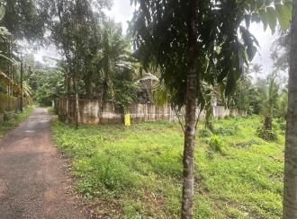 Residential House Villa for Sale in Thrissur, Mala, Mala Town