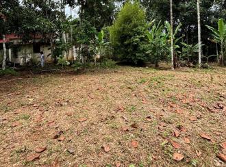 Residential Land for Sale in Pathanamthitta, Pathanamthitta, Elanthoor, Elanthoor Market