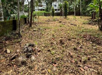 Residential Land for Sale in Pathanamthitta, Pathanamthitta, Elanthoor, Elanthoor Market