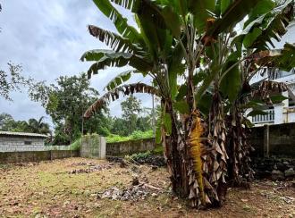 Residential Land for Sale in Pathanamthitta, Pathanamthitta, Elanthoor, Elanthoor Market
