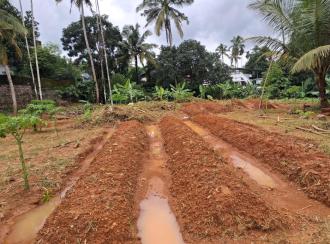 Residential Land for Sale in Thrissur, Pudukad, Pudukkad