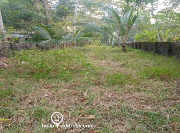 4m wide road to the property