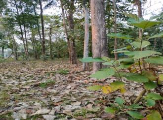 Residential Land for Sale in Alleppey, Cherthala, Muhamma